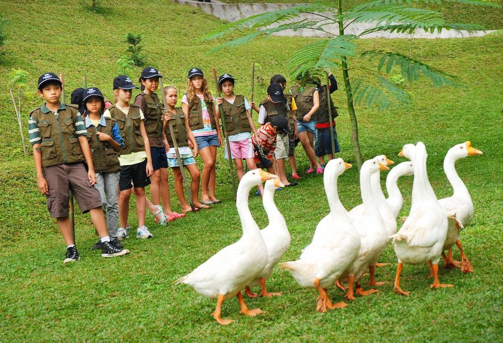 فندق بادما باندونق اندونيسيا