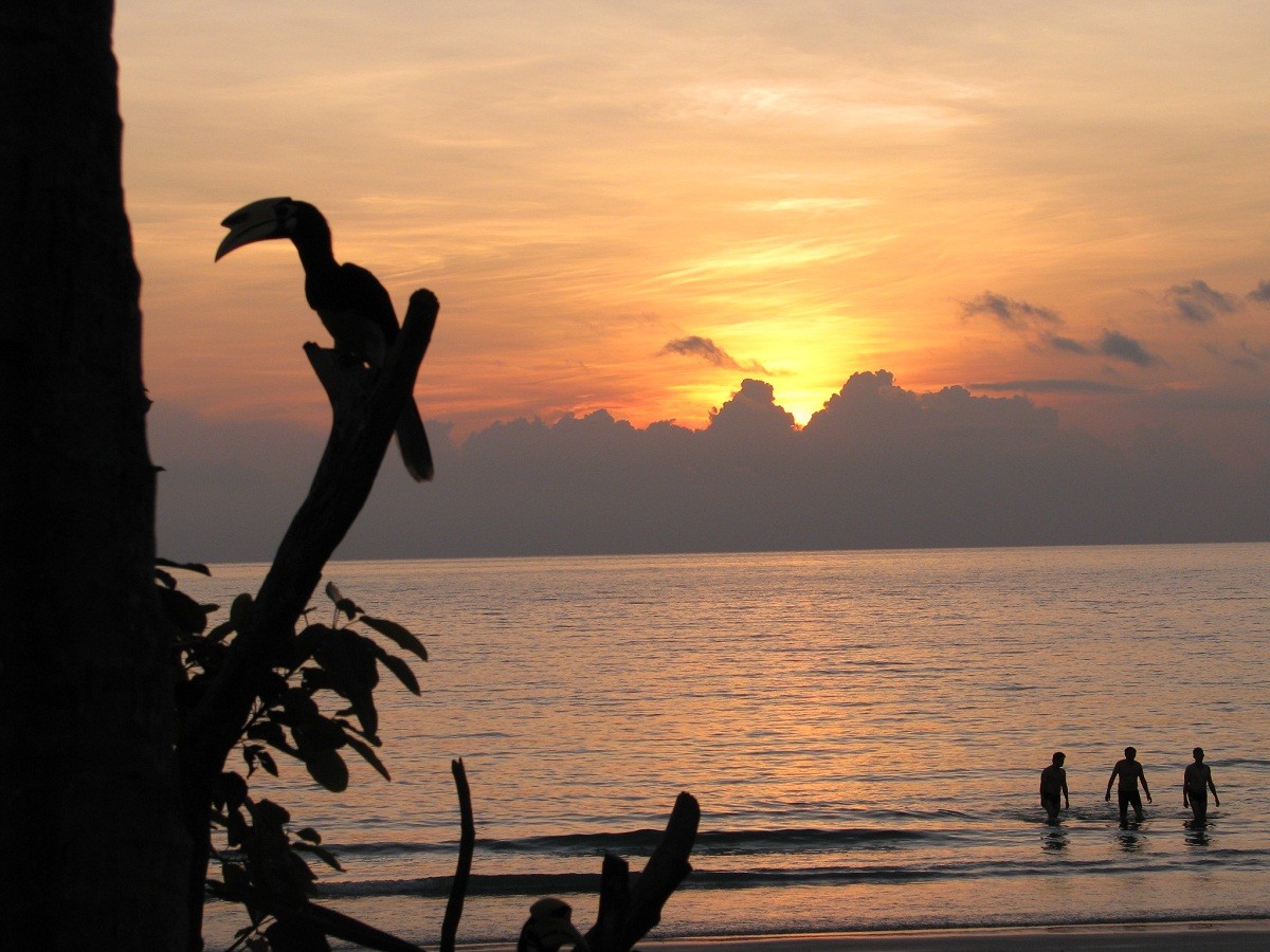 جزيرة بانكور