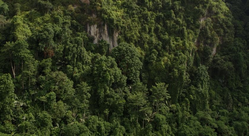 فندق بست ويستيرن ايبوه ماليزيا