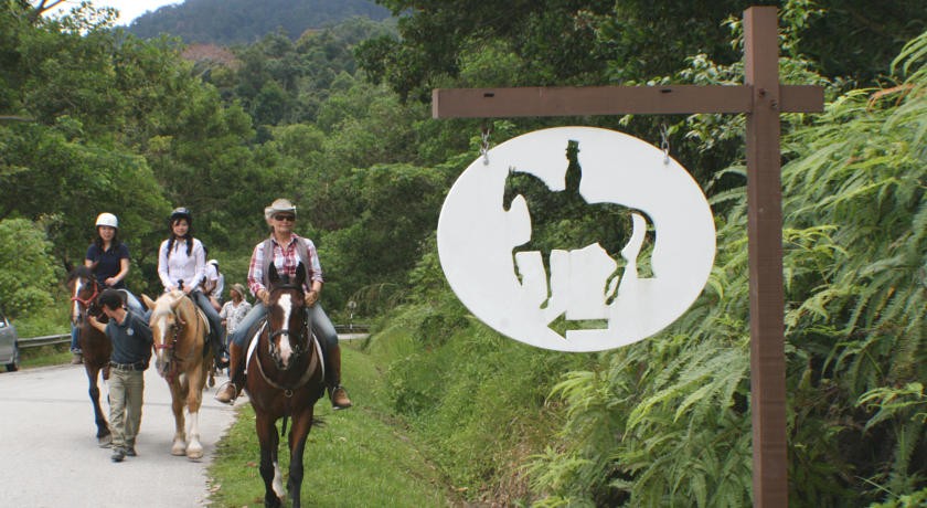 فندق كولمار تروبيكال بوكيت تنجي ماليزيا 