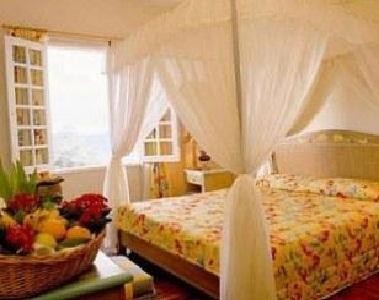 فندق كولمار تروبيكال بوكيت تنجي ماليزيا 