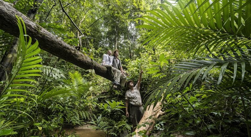 فندق الفور سيزن لنكاوي ماليزيا