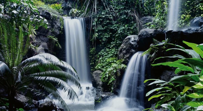 فندق قراند حياة سنغافورة