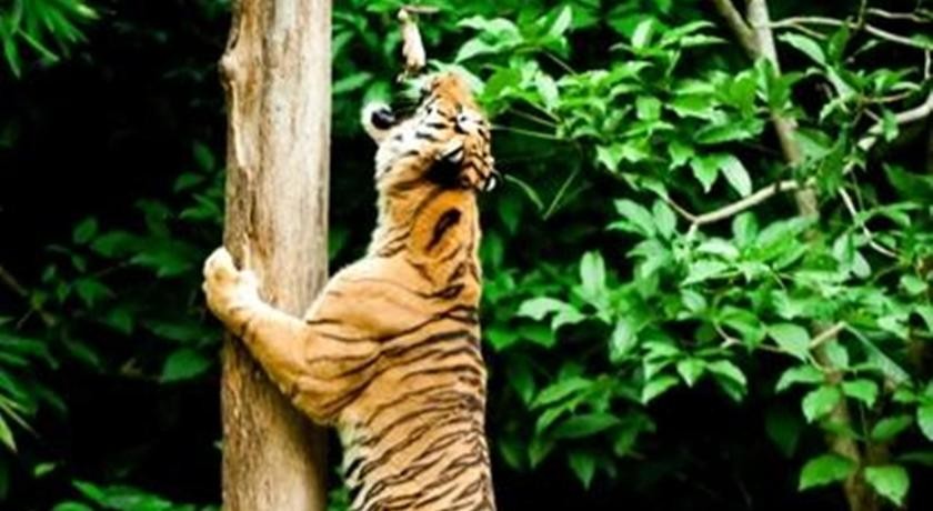 لوست وورلد - العالم المفقود ايبوه ماليزيا 