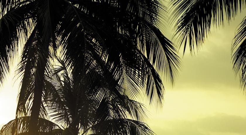 فندق الشنغريلا جولدن ساندس بينانغ ماليزيا