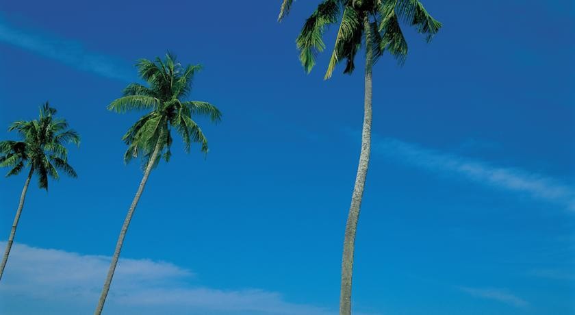 فندق الشنغريلا جولدن ساندس بينانغ ماليزيا