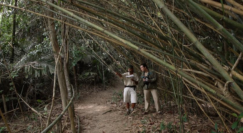 منتجع تانجون جارا ترينجانو ماليزيا 