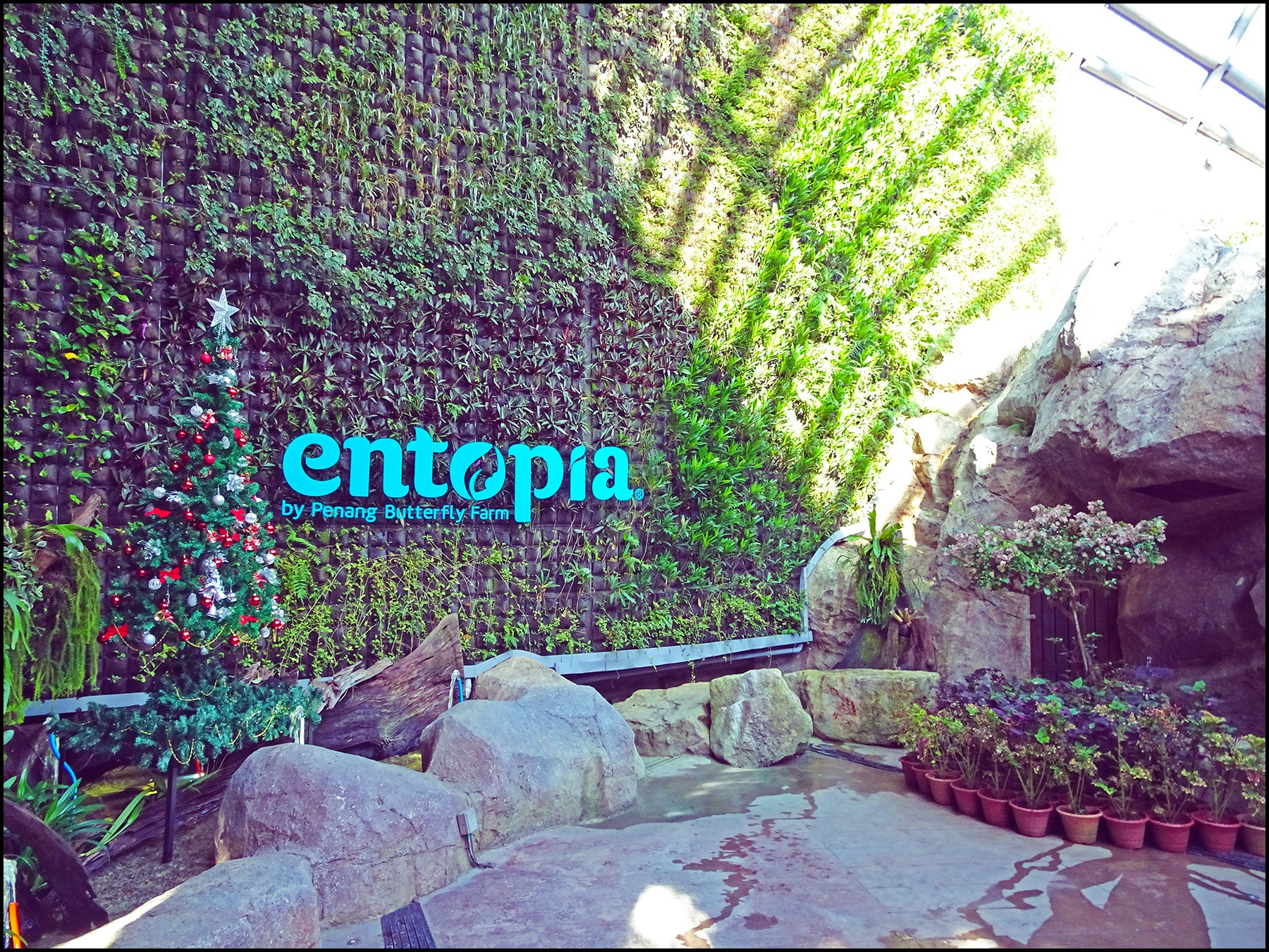 حديقة الفراشات بينانج ماليزيا